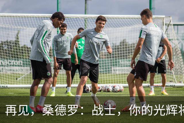 再见，桑德罗：战士，你的光辉将永留心间