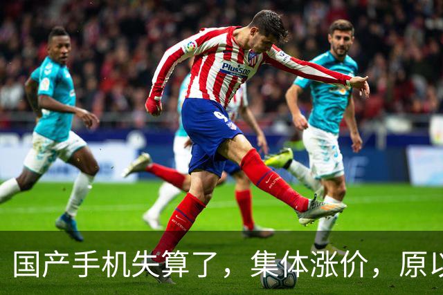 国产手机失算了，集体涨价，原以为疯狂抢购，结果门可罗雀